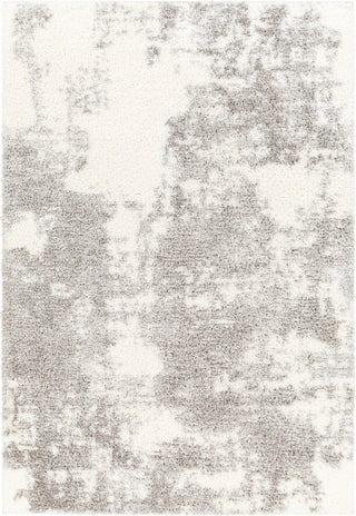 Surya Cloudy shag CDG-2318 Area Rug main image