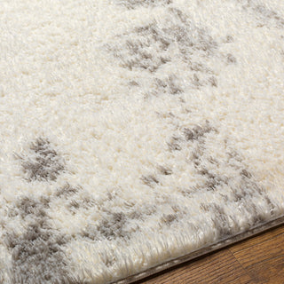 Surya Cloudy shag CDG-2318 Area Rug Detail