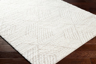 Surya Cloudy shag CDG-2319 Area Rug Corner Shot