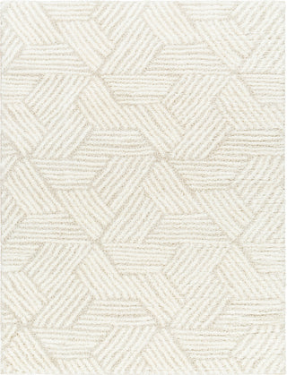 Surya Cloudy shag CDG-2319 Area Rug main image