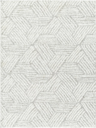 Surya Cloudy shag CDG-2320 Area Rug main image