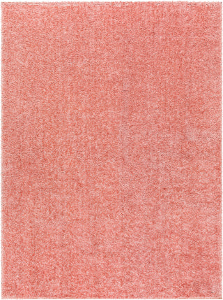 Surya Cloudy Shag CDG-2321 Area Rug main image