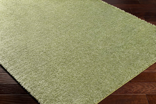 Surya Cloudy Shag CDG-2322 Area Rug 