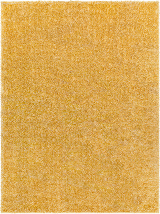 Surya Cloudy Shag CDG-2323 Area Rug main image