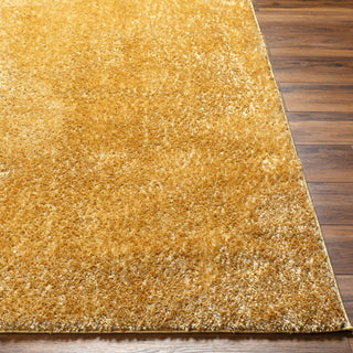 Surya Cloudy Shag CDG-2323 Area Rug 