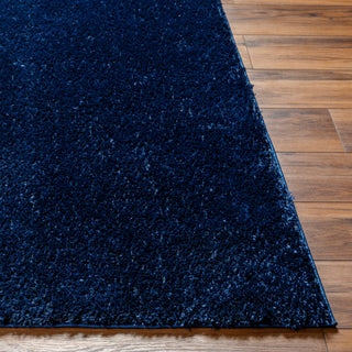 Surya Cloudy Shag CDG-2326 Area Rug 