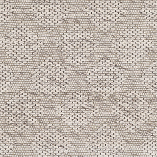 Surya Colarado CDO-2301 Area Rug