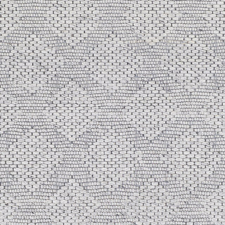 Surya Colarado CDO-2302 Area Rug