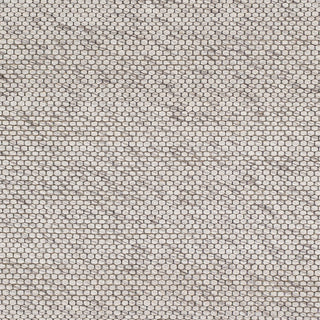 Surya Colarado CDO-2304 Area Rug