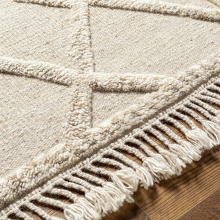 Surya Cadiz CDZ-2303 Area Rug Detail