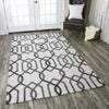 Rizzy Caterine CE9526 Area Rug 