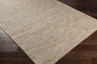 Livabliss Cadence CEC-2307 Area Rug
