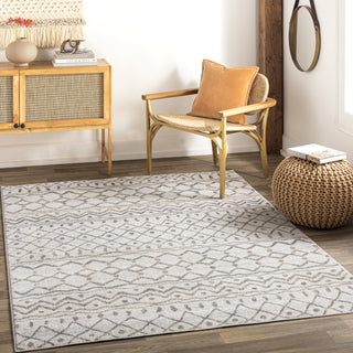 Surya Cesar CEG-2328 Area Rug Room Scene Feature