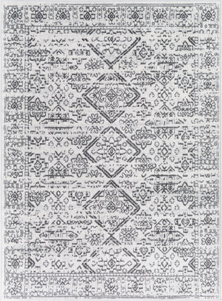 Surya Cesar CEG-2332 Area Rug main image