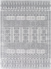 Surya Cesar CEG-2336 Area Rug main image