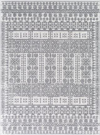 Surya Cesar CEG-2336 Area Rug main image