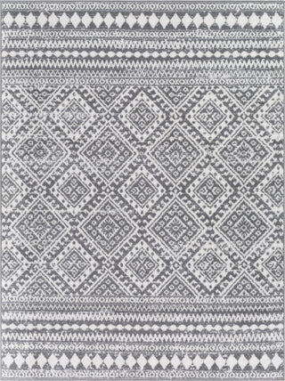 Surya Cesar CEG-2337 Area Rug main image