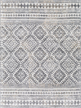 Surya Cesar CEG-2339 Area Rug main image