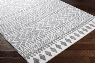 Surya Cesar CEG-2343 Area Rug Corner Shot
