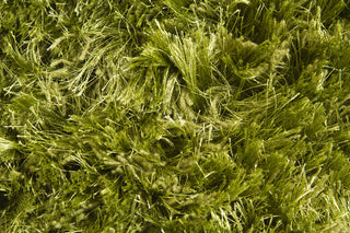 Chandra Celecot CEL-4705 Green Area Rug Close Up