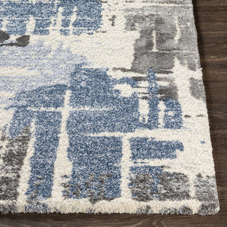 Livabliss Cielo CEL-2304 Area Rug