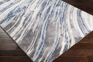 Livabliss Cielo CEL-2312 Area Rug