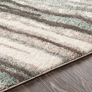 Livabliss Cielo CEL-2313 Area Rug