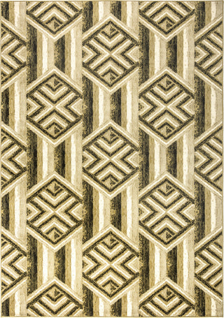 Rizzy Carrington CG4821 Area Rug 