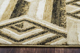 Rizzy Carrington CG4821 Area Rug 