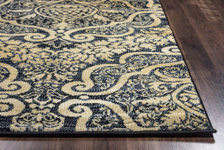 Rizzy Carrington CG4829 Area Rug 