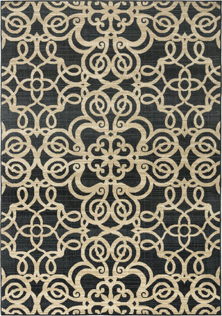 Rizzy Carrington CG4853 Area Rug 