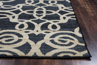 Rizzy Carrington CG4853 Black Area Rug Edge Shot