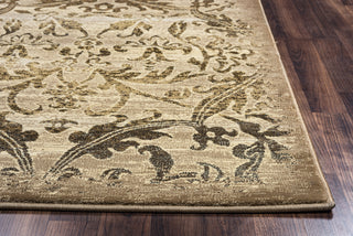 Rizzy Chateau CH4435 Area Rug 