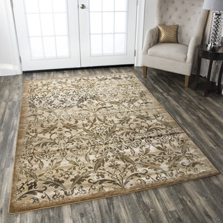 Rizzy Chateau CH4435 Area Rug 