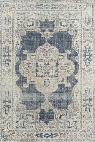 Momeni Chandler CHN-6 Navy Area Rug main image