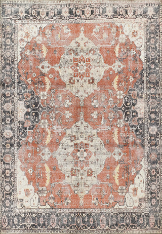 Momeni Chandler CHN-7 Rust Area Rug main image