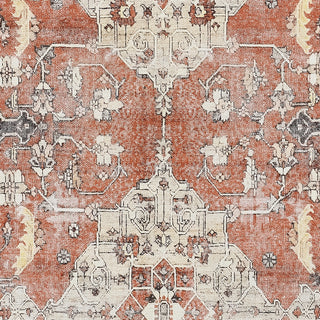 Momeni Chandler CHN-7 Rust Area Rug Swatch Image