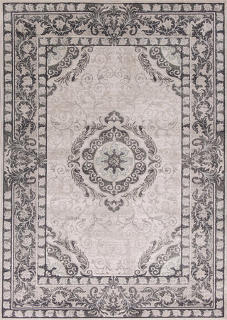 KAS Chandler 4901 Grey Treasures Area Rug main image