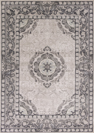 KAS Chandler 4901 Grey Treasures Area Rug 