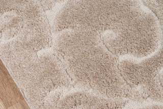 Momeni Charlotte CHA-3 Beige Area Rug Close up