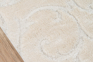 Momeni Charlotte CHA-3 Ivory Area Rug Close up