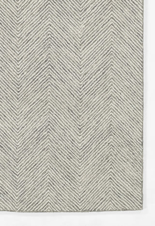 Momeni Charles CHR-1 Grey Area Rug Corner Image