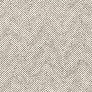 Momeni Charles CHR-1 Taupe Area Rug Swatch Image