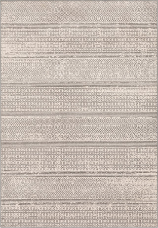 Surya Chester CHE-2303 Area Rug