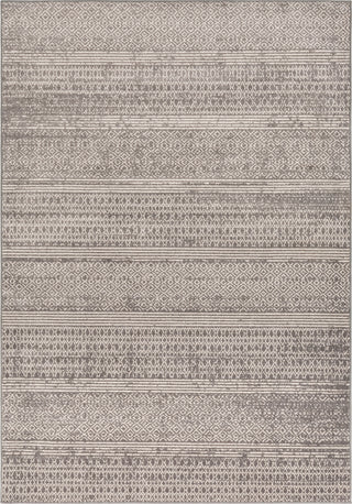 Surya Chester CHE-2304 Area Rug Main Image 