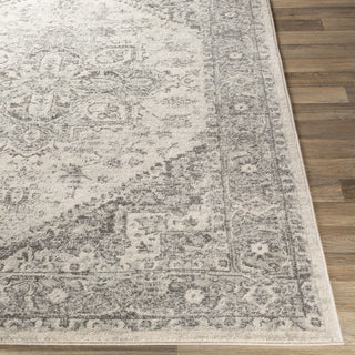 Livabliss Chester CHE-2312 Area Rug