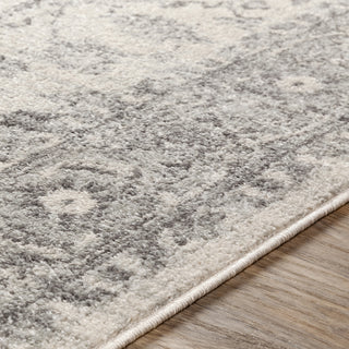 Livabliss Chester CHE-2312 Area Rug