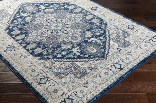 Surya Chester CHE-2313 Area Rug  Feature