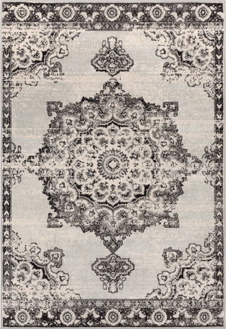 Surya Chester CHE-2318 Area Rug