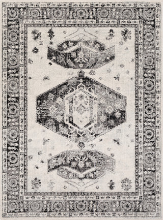 Surya Chester CHE-2324 Area Rug